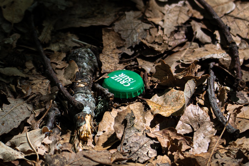 Chapa de botella verde Cruz del Sur abandonada entre hojas secas en el suelo del bosque de La Sauceda
